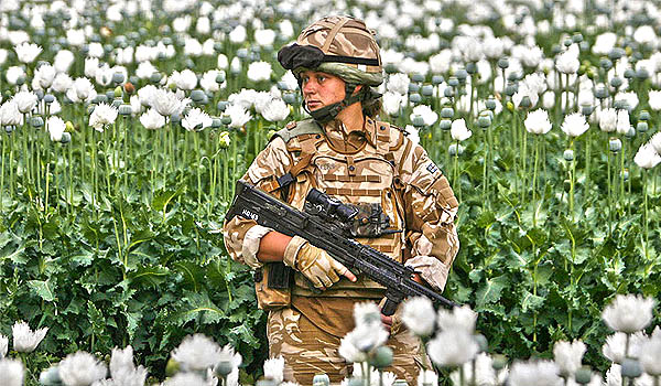 Crece 40 veces la producción de heroína en Afganistán durante la ocupación de la OTAN